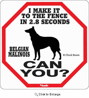 Belgian Malinois 2.8 Seconds Sign