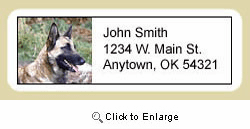 Belgian Malinois Address Labels