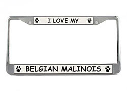 Belgian Malinois License Plate Frame