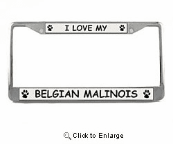 Belgian Malinois License Plate Frame