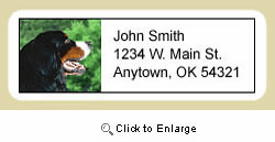 Bernese Mountain Dog Address Labels