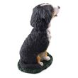 Bernese Mountain Dog Bobblehead