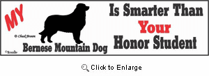 Bernese Mountain Dog Bumper Sticker Honor Student