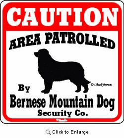 Bernese Mountain Dog Caution Sign