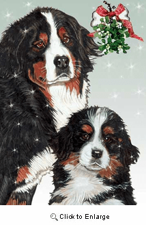 Bernese Mountain Dog Christmas Cards