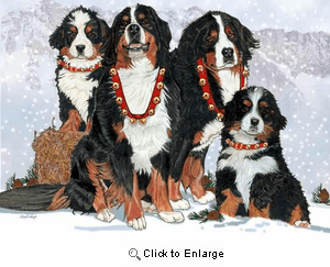 Bernese Mountain Dog Christmas Cards Entire Family