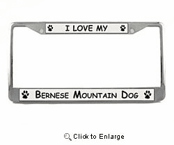 Bernese Mountain Dog License Plate Frame