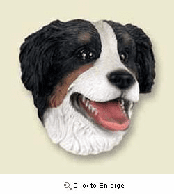 Bernese Mountain Dog Magnet