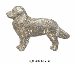Bernese Mountain Dog Pin