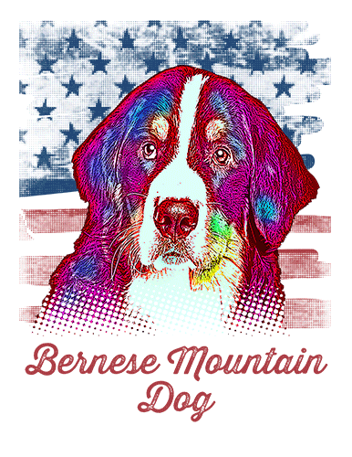 Bernese Mountain Dog T Shirt American Flag