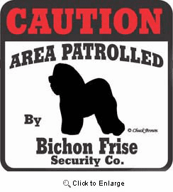 Bichon Frise Bumper Sticker Caution