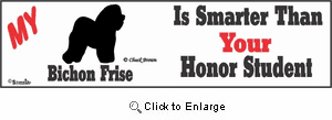 Bichon Frise Bumper Sticker Honor Student