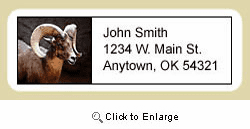 Big Horn Sheep Address Labels