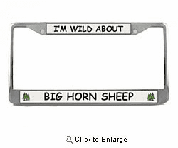 Big Horn Sheep License Plate Frame