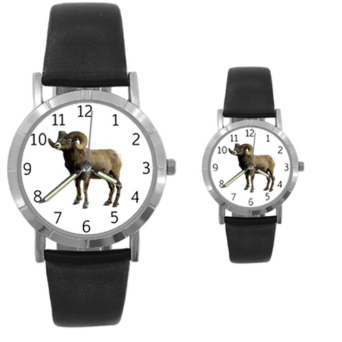 Big Horn Sheep Watch