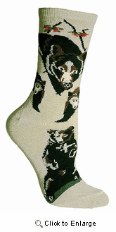 Black Bear Socks