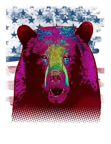 Black Bear T Shirt American Flag