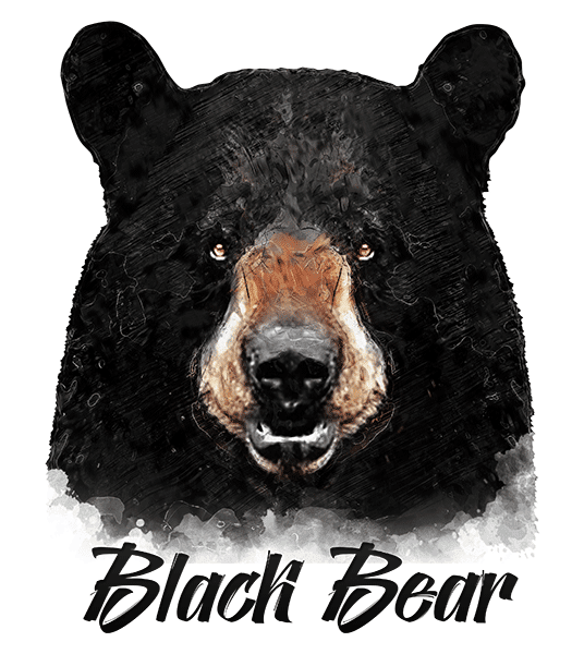 Black Bear T-Shirt - Vivid Colors