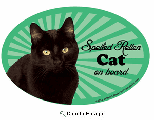 Black Cat Car Magnet - Spoiled Rotten