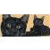 Black Cat Coffee Mug