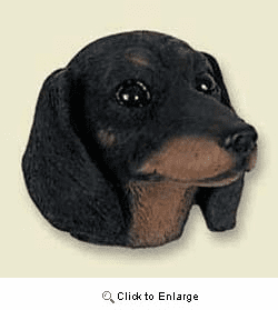 Black Dachshund Magnet