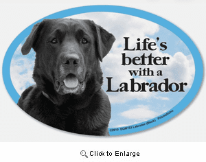 Black Lab Car Magnet - Spoiled Rotten