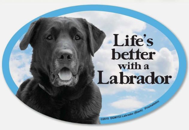 Black Lab Car Magnet - Spoiled Rotten