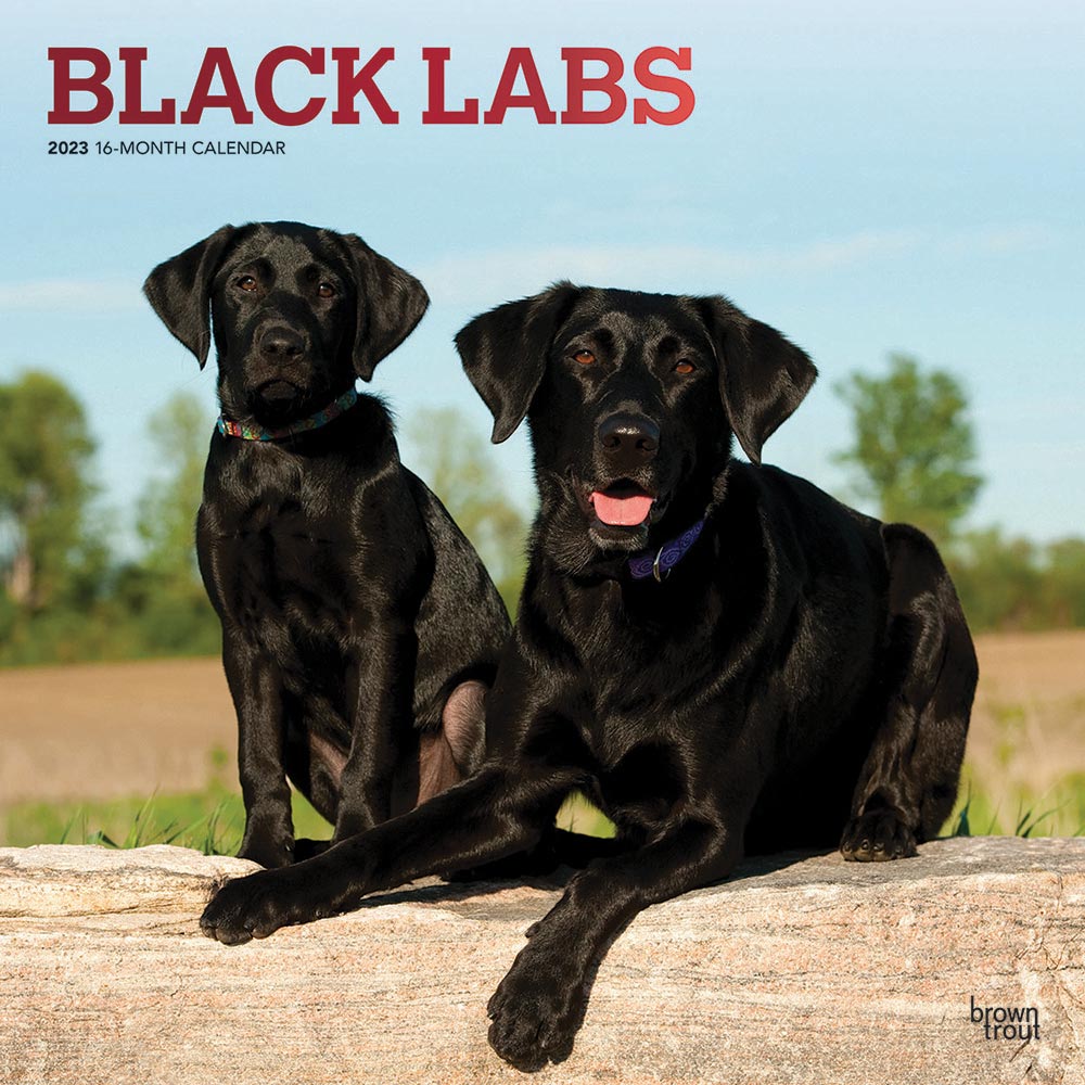 Black Lab Gifts, Jewelry & Labrador Retriever Products