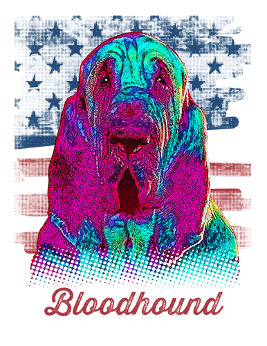 Bloodhound T Shirt American Flag