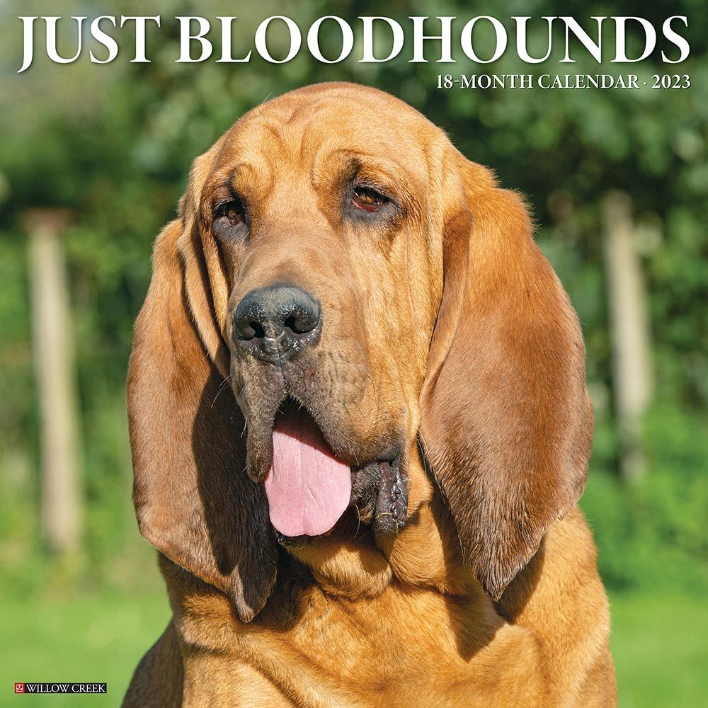 Bloodhound Fan Gifts, Apparel, Jewelry, Ornaments