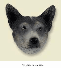 Blue Australian Cattle Dog Magnet