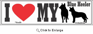 Blue Heeler Bumper Sticker I Love My