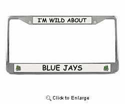 Blue Jay License Plate Frame