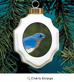 Bluebird Christmas Ornament Porcelain