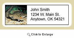 Bluegill Address Labels