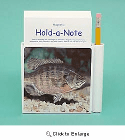 Bluegill Hold-a-Note