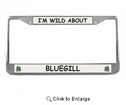 Bluegill License Plate Frame