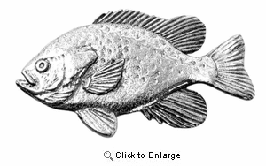 Bluegill Pin