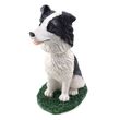 Border Collie Bobblehead