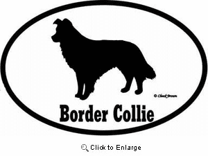 Border Collie Bumper Sticker Euro