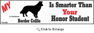 Border Collie Bumper Sticker Honor Student