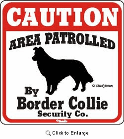 Border Collie Caution Sign