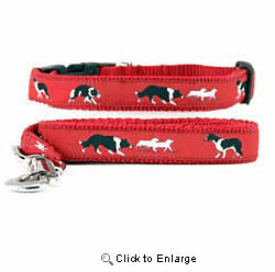 Border Collie Collar & Leash