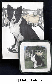 Border Collie Dish Towel & Potholder