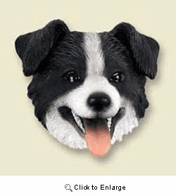 Border Collie Magnet