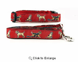 Border Terrier Collar & Leash