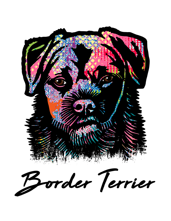 Border Terrier T Shirt Colorful Abstract