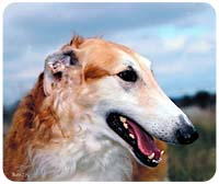 Borzoi Mousepad
