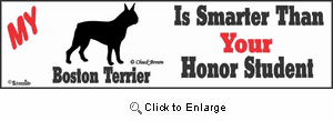 Boston Terrier Bumper Sticker Honor Student