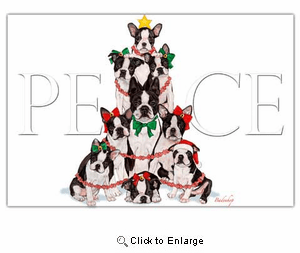 Boston Terrier Christmas Cards Peace